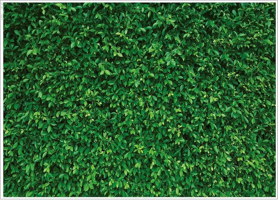 Fondo de Hojas Verdes